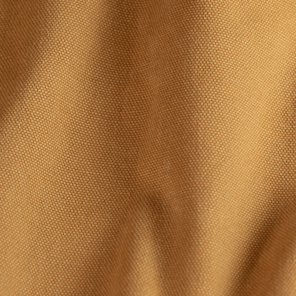 #color_sunflower-yellow