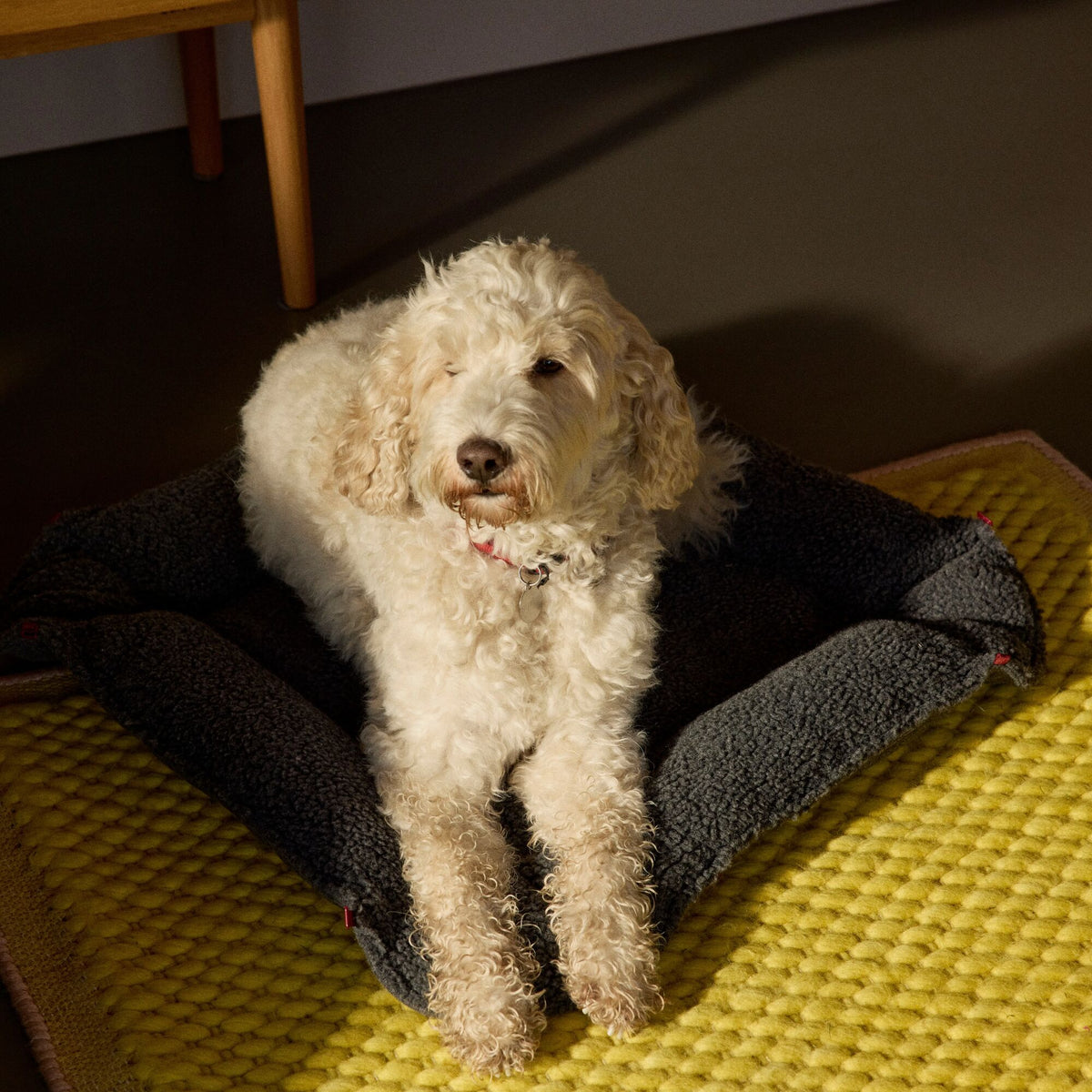 Nook³ | Woolly