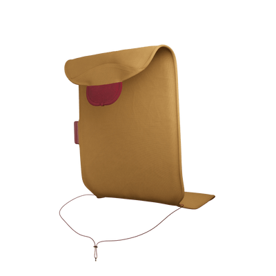 #color_ocher-yellow