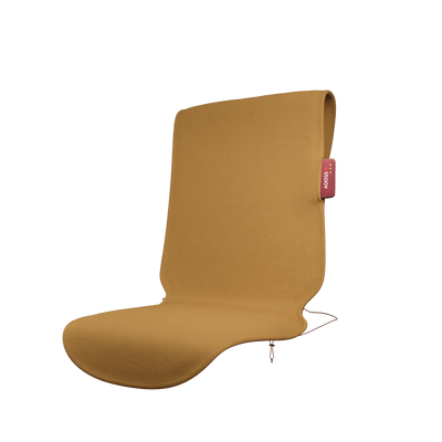#color_ocher-yellow