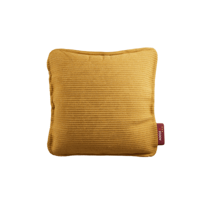 #color_ocher-yellow